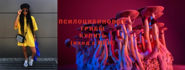 ГАЛЛЮЦИНОГЕННЫЕ ГРИБЫ Аркадак