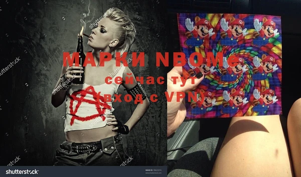 ГАЛЛЮЦИНОГЕННЫЕ ГРИБЫ Аркадак