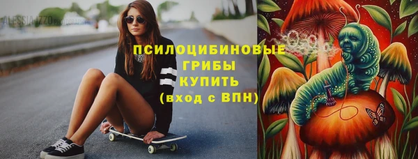 ГАЛЛЮЦИНОГЕННЫЕ ГРИБЫ Аркадак