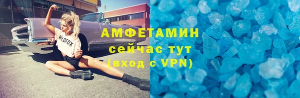 прущие грибы Баксан