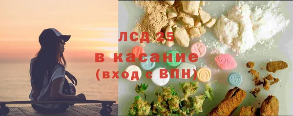 ГАЛЛЮЦИНОГЕННЫЕ ГРИБЫ Аркадак