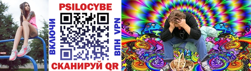 Псилоцибиновые грибы Psilocybe  маркетплейс телеграм  Буинск 